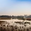 Etang du Grand Birieux ©Conseil départemental Ain