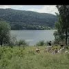 "The Zone Of Interest", pique-nique au lac