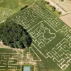 ©Labyrinthe Maïs Foucherans