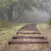 Chemin de terre. ©Unsplash