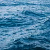 ©Unsplash