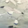 Les mouettes Nicolas de Stael