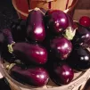 Aubergines