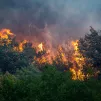 Feu de forêt sur la commune de Voreppe en Isère en août 2022, @ Nicolas Liponne / Hans Lucas.