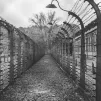 Camps de concentration d'Auschwitz, en Pologne. ©Unsplash