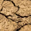 La Direction Départementale des territoires a mis en place l’outil numérique EauSec54 pour que chacun puisse connaître les restrictions en vigueur pour son usage de l'eau. 