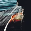 "Le royaume des Cieux est encore comparable à un filet que l’on jette dans la mer..." ©Unsplash