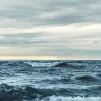 Les océans atteignent des températures historiques jusqu’à 20,96 degrés selon Copernicus. ©Ant Rozetsky / Unsplash