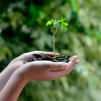 Crédit photo - Canva - Phoenix_a pour Getty Images