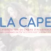 La CAPE