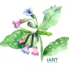 ©Atelier Nature & Territoires
