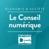 Le conseil numérique