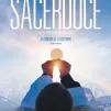 Sacerdoce