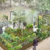 exemple d'îlot de fraîcheur - © Jardins de Gally