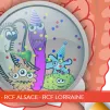 © OpenClipart-Vectors via Pixabay