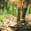 La clôture de la chasse est fixée au 29 février 2024.