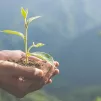 Huit ans après l'encyclique Laudato Si', le pape François publie "Laudate Deum" ©Freepik
