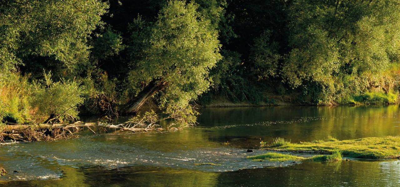 © Alsace Nature