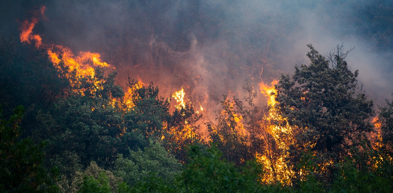 La France se prépare à faire face aux feux de forêts | RCF