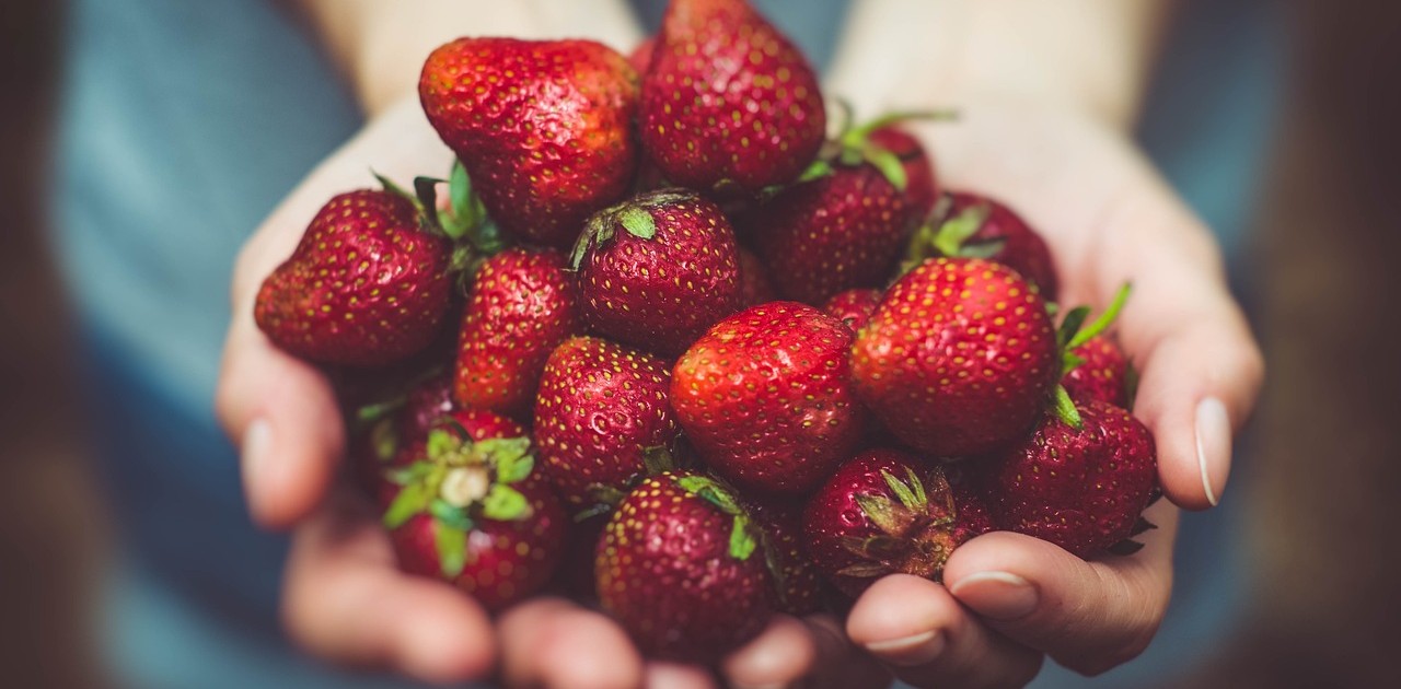 Testés pour vous : les fraises et framboises lyophilisées - Page 2 of 3