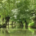 parc-marais-poitevin.fr