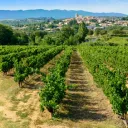 Emission Au fil des jours - ® RCF Maguelone Hérault