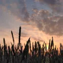 michal-galezewski-UNSPLASH