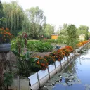 Une parcelle des marais de Bourges. 