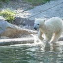 zoo de Mulhouse