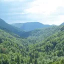 Vignette Invité local sur fond rouge de rubrique actualité avec en bas à droite le micro RCF et la mention Nièvre