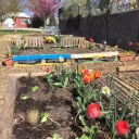 2018 Saint-Vincent-père Brottier - le jardin potager de l'école