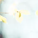 andrew-pons-UNSPLASH