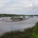 Le domaine de Certes-Graveyron, "espace naturel sensible", au coeur du bassin d'Arcachon