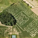 ©2021 - jura-tourism.com - Le Labyrinthe Maïs de Foucherans