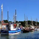 Semaine du Golfe 2017 à Saint Goustan, Auray