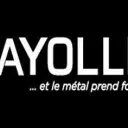 fayolle-chaudronnerie.com