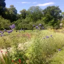 Allée centrale du jardin de Nohant - Charlotte Bonnet