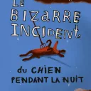 Le bizarre incident du chien pendant la nuit, de Mark Haddon.