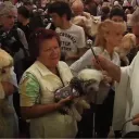 Bénédiction des animaux à Nice