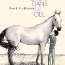 Du bruit dans le ciel, de David Prudhomme.