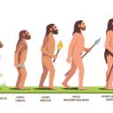 De Neandertal à l'Homo Sapiens © iStock