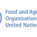 FAO © Nations Unies