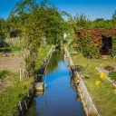 Image d'illustration - Marais de Bourges.