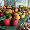 Sur les fruits exposés dans son atelier, Bernard Coulon marque le nom de chacune des 300 variétés de pomme qu'il cultive @RCF Orne