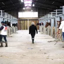 La Ferme des Aubris accueille près de 400 équidés. © Fondation 30 Millions d'Amis