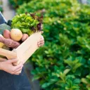 De la terre à l'assiette © iStock