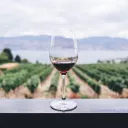 verre de vin - © Kim Ellis via Unsplash