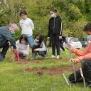 47 arbres plantés par le groupe La Salle à Bourges ce 26 novembre, avec les jardiniers solidaires. © les jardiniers solidaires.