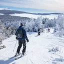 Neige au Mézenc