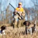 La chasse divise les Français © iStock